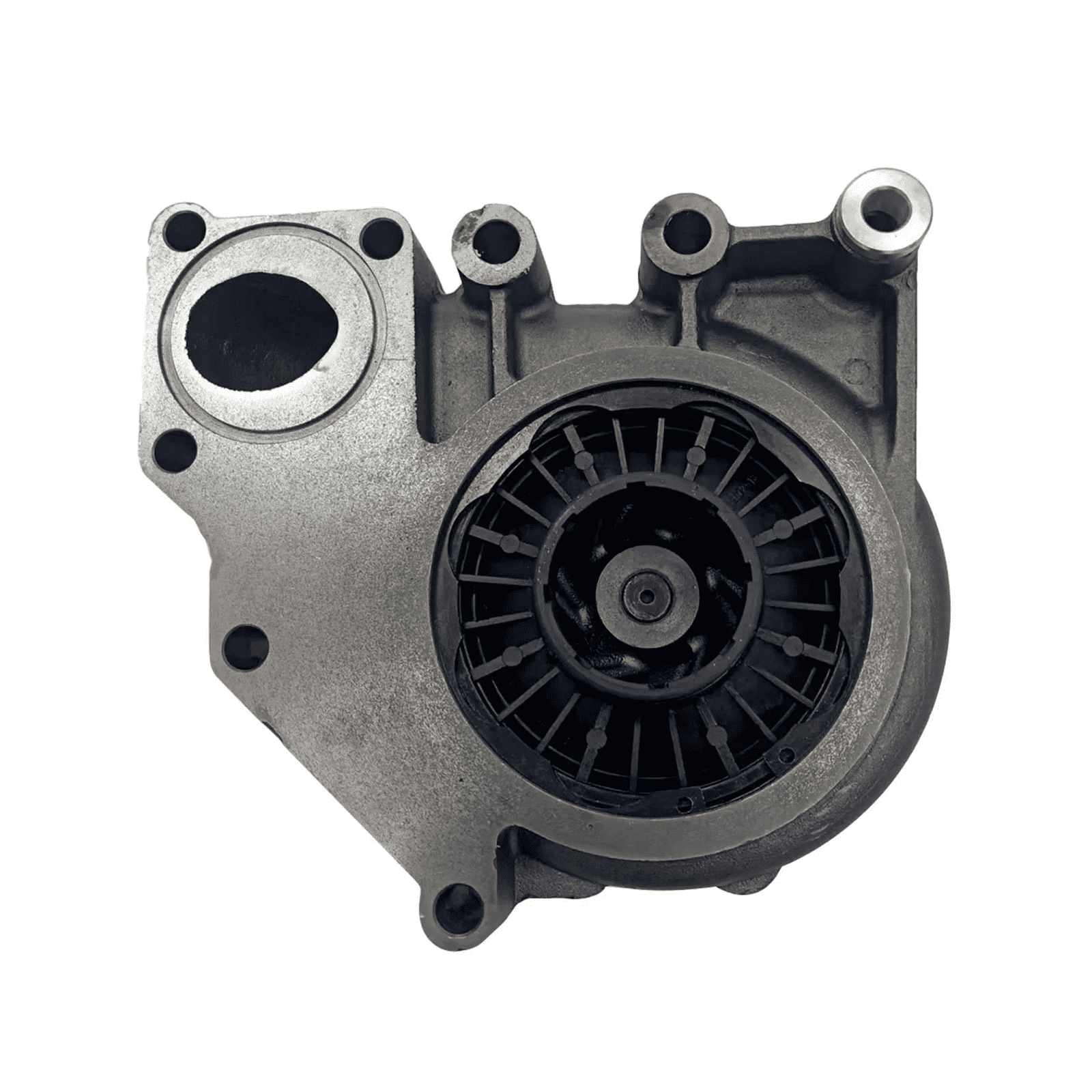 Water Pump 3073693 3803403 4955705 for Cummins M11 L10 Engine