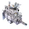 Fuel Injection Pump 2644N209/24 2644N20924 for Perkins 1104C-44 Diesel Engine