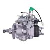 Fuel Injection Pump 336-9191 for Caterpillar CAT Engine 3044C C3.4 Loader 279C 289C