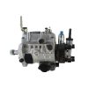 Fuel Injection Pump 9320A521T 9320A522T for Perkins 1104C-44 1104C-44TA 1104C-44TAG Engine