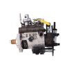 Fuel Injection Pump 9320A530G 9320A536G 2644H042 483-2353 for Delphi Perkins