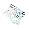 Overhaul Gasket Kit for Perkins 403C-15 403D-15 Engine