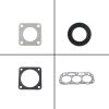 Overhaul Gasket Kit for Shibaura N843 N843L N843T N843-C N843-D N843L-T Engine