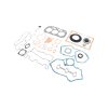 Overhaul Gasket Kit for Shibaura N843 N843L N843T N843-C N843-D N843L-T Engine