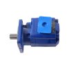 P5100-F100CX Gear Pump for Xugong Wheel Loader ZL50G