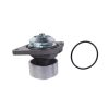 Water Pump 3802358 3802004 3802970 3286275 3286276 3286277 3286278 for Cummins Engine 6BT