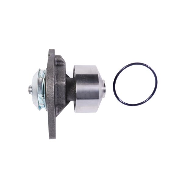 Water Pump 3802358 3802004 3802970 3286275 3286276 3286277 3286278 for Cummins Engine 6BT